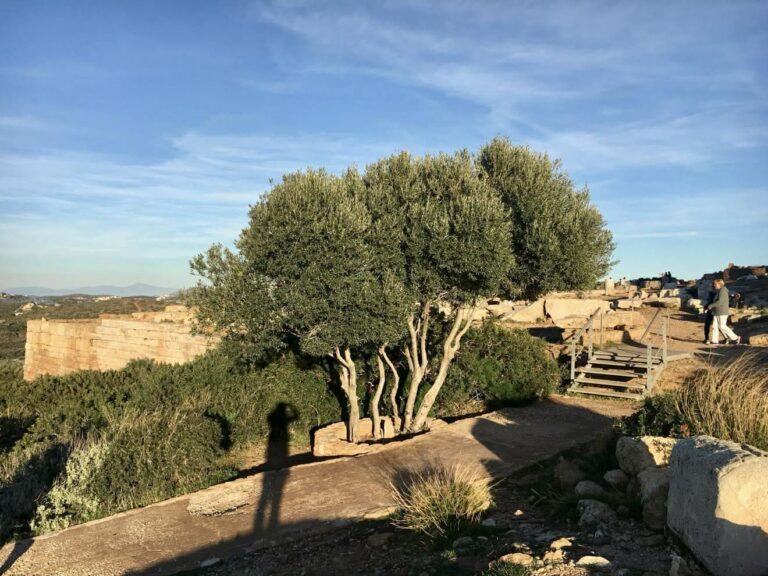 636695515_793262477148664_5214603939069988385_n