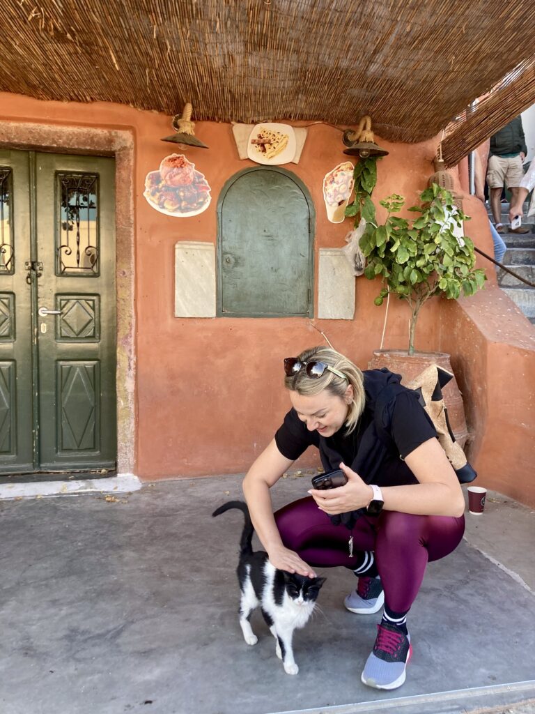 How You Can Help Santorini’s Stray Animals During Your Visit